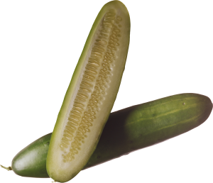 Cucumber PNG-12622